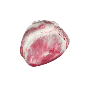 closed heart INTERNATIONAL CASING PRODUCTS, S.L.U. 10.025510/Z⠀SPAIN