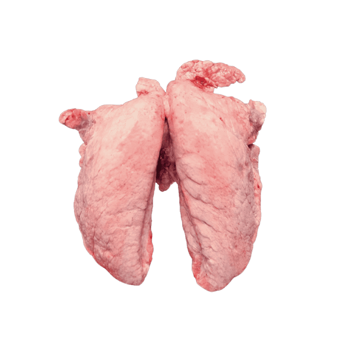 lungs INTERNATIONAL CASING PRODUCTS, S.L.U. 10.025510/Z⠀SPAIN