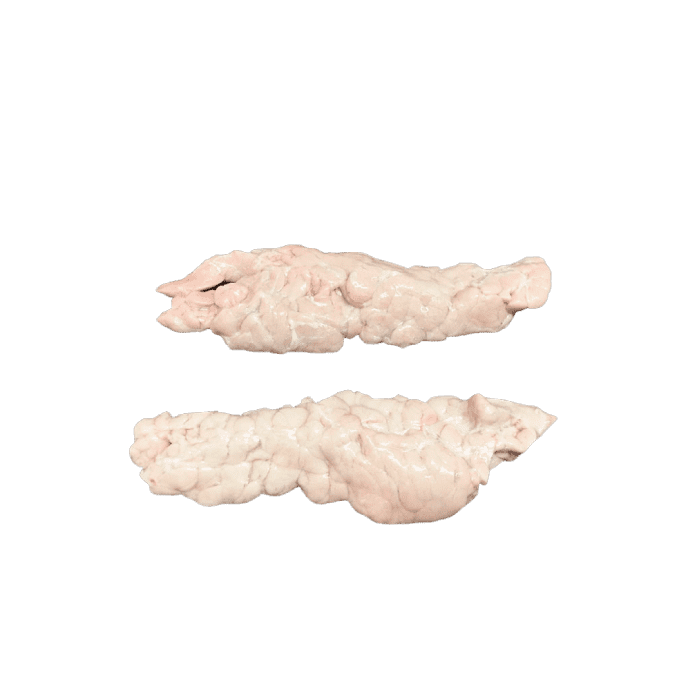 pancreas INTERNATIONAL CASING PRODUCTS, S.L.U. 10.025510/Z⠀SPAIN