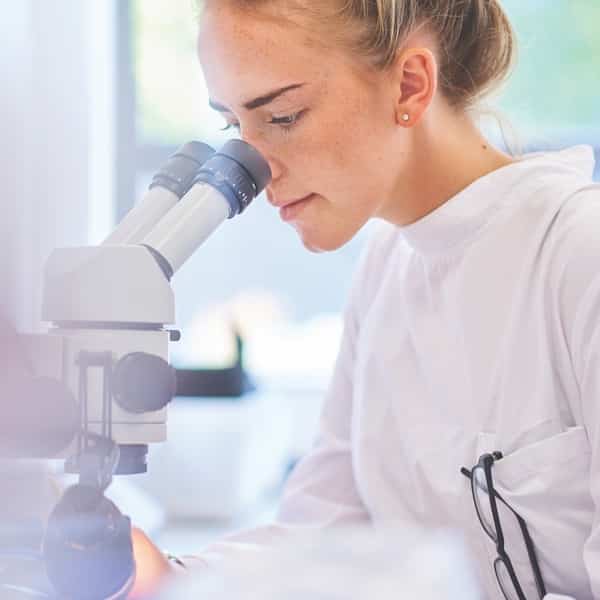 10.025510/Z⠀⠀INTERNATIONAL CASING PRODUCTS, S.L.U.