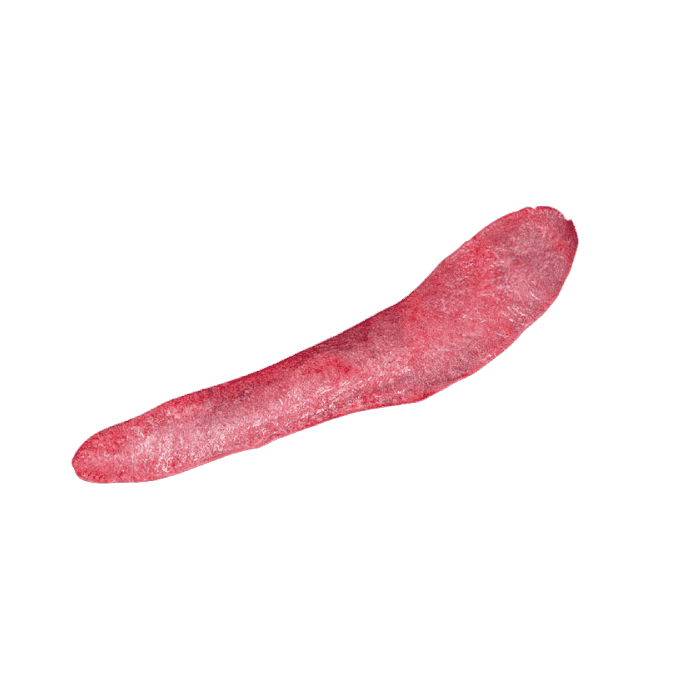 spleen INTERNATIONAL CASING PRODUCTS, S.L.U. 10.025510/Z⠀SPAIN