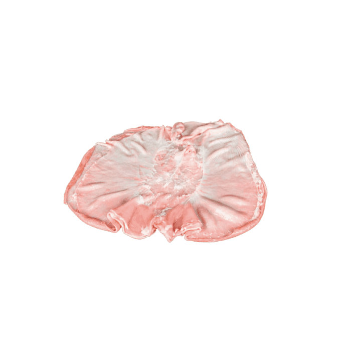 stomach butterfly INTERNATIONAL CASING PRODUCTS, S.L.U. 10.025510/Z⠀SPAIN
