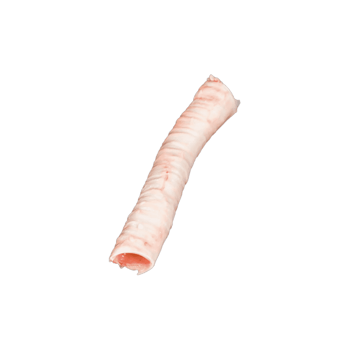 trachea INTERNATIONAL CASING PRODUCTS, S.L.U. 10.025510/Z⠀SPAIN